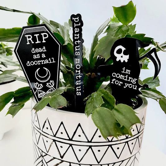 Black Thumb Plant Signs