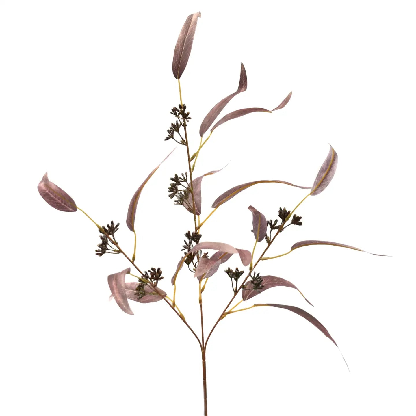 Wispy Seeded Eucalyptus Spray 30.5'' -Plum