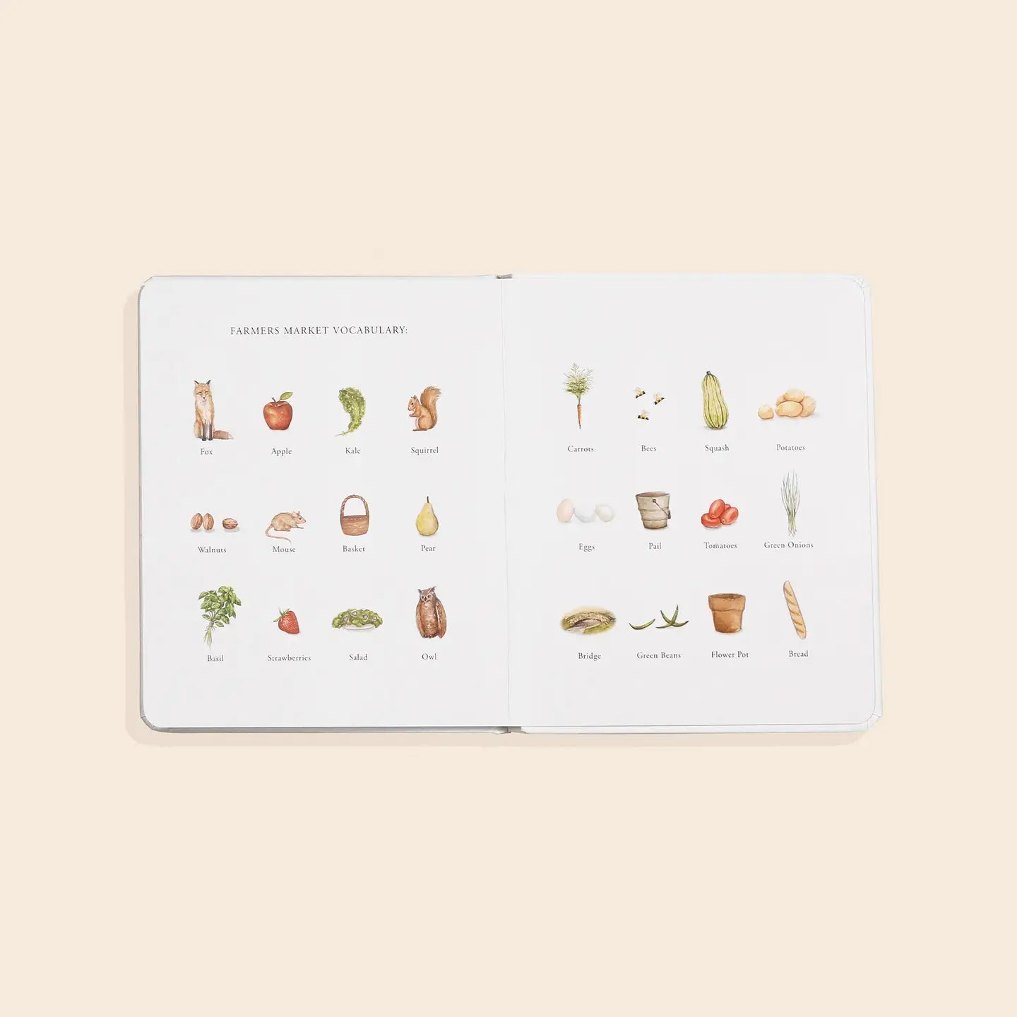 Our Little Adventure To the Farmers Market (Board Book)