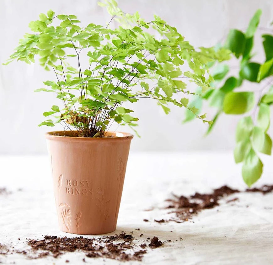 Garden Pot Candle + Plantable Seed Paper Dust Covers