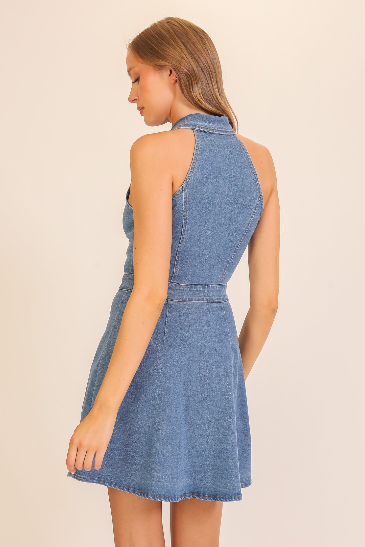Blake Denim Button-front Dress