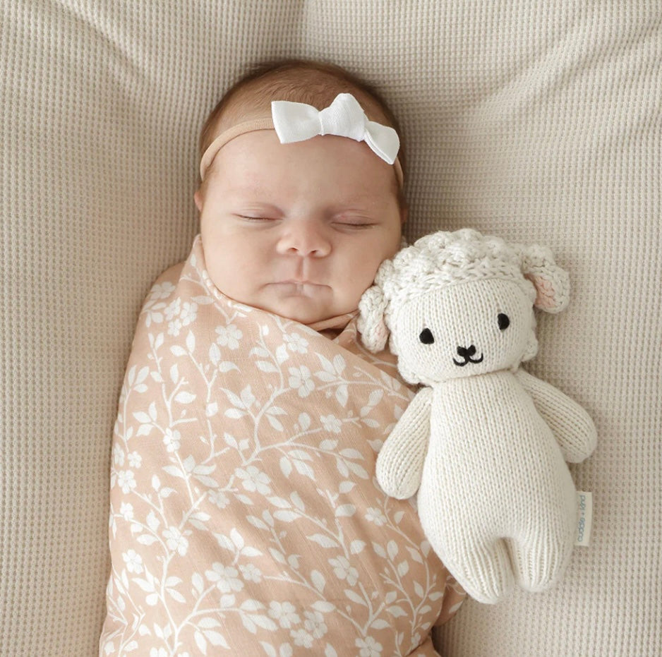 Baby Lamb | Cuddle + Kind