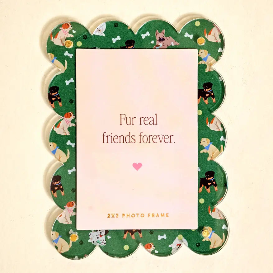 Mini Acrylic Picture Frame Magnet | Dog Days