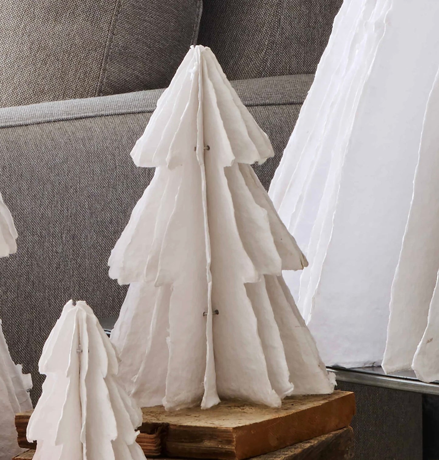 Birnam Cotton Paper Tree