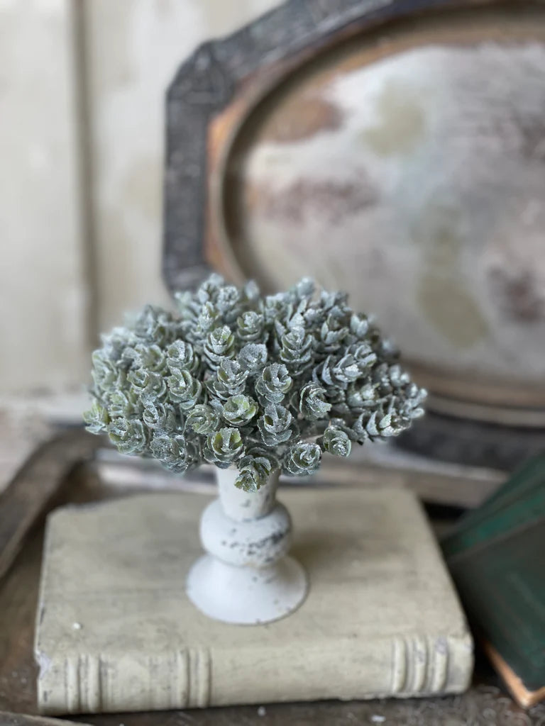 Frost Gleam Hops Half Sphere | 5"