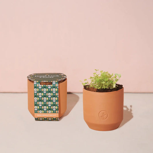 Tiny Terracotta Sprouting Kit | Good luck Clover