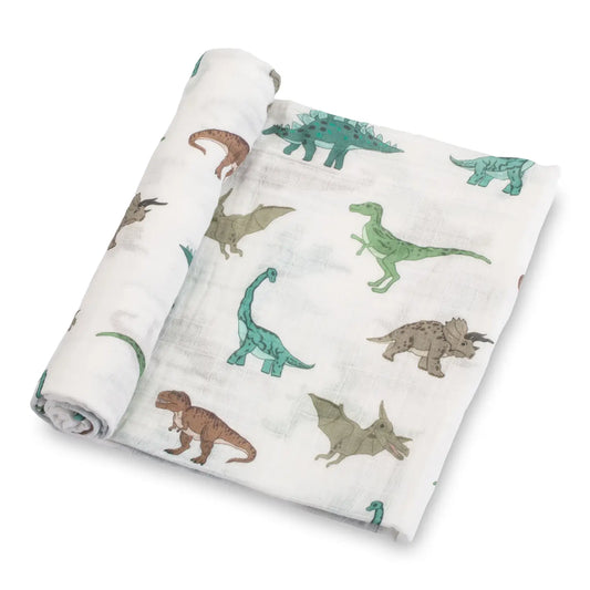 Dinosaur Baby Swaddle Blanket