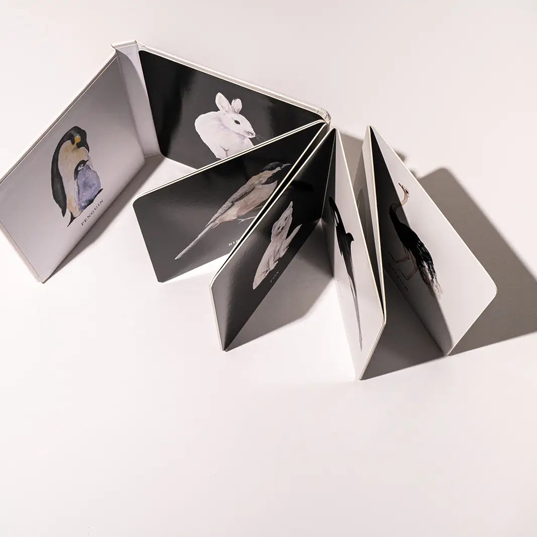 Black and White Contrast Book For Baby