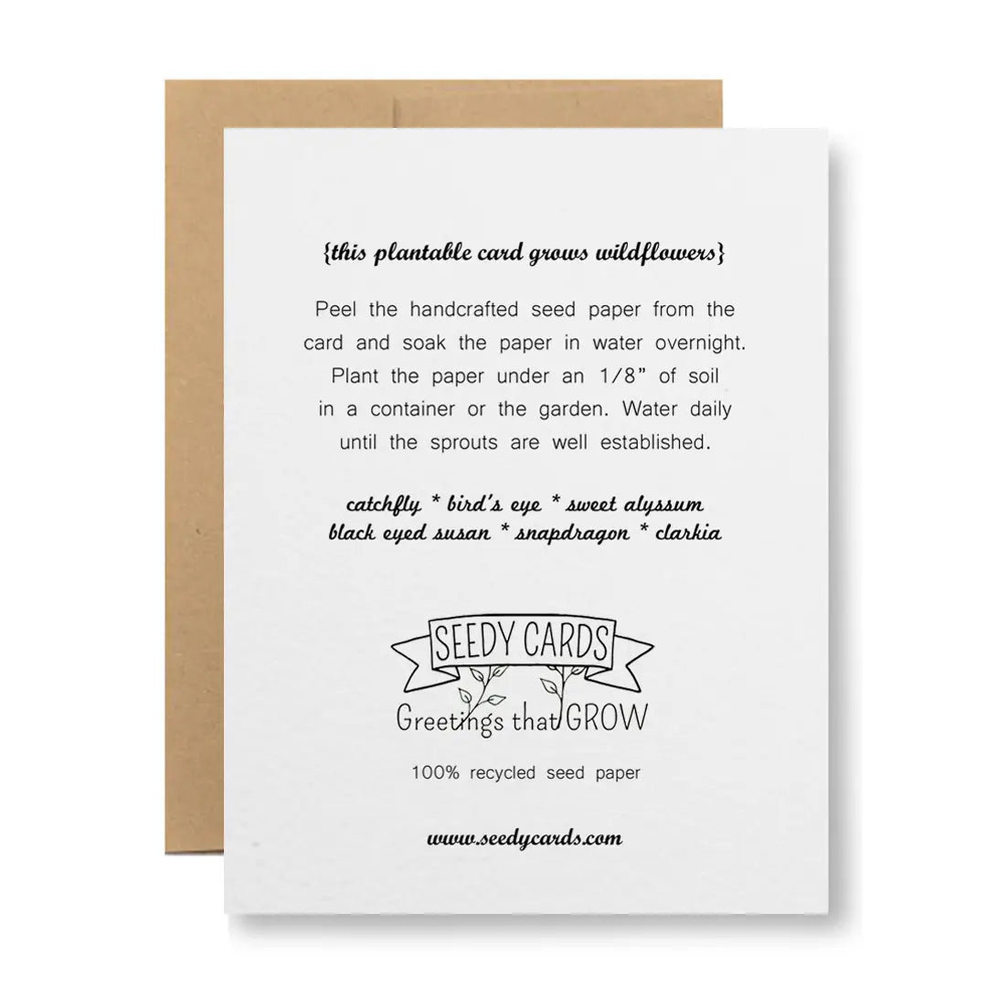 It Was Your Fault | Plantable Greeting Card
