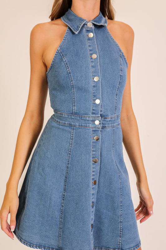 Blake Denim Button-front Dress