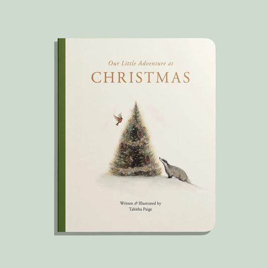 Our Little Adventure At Christmas