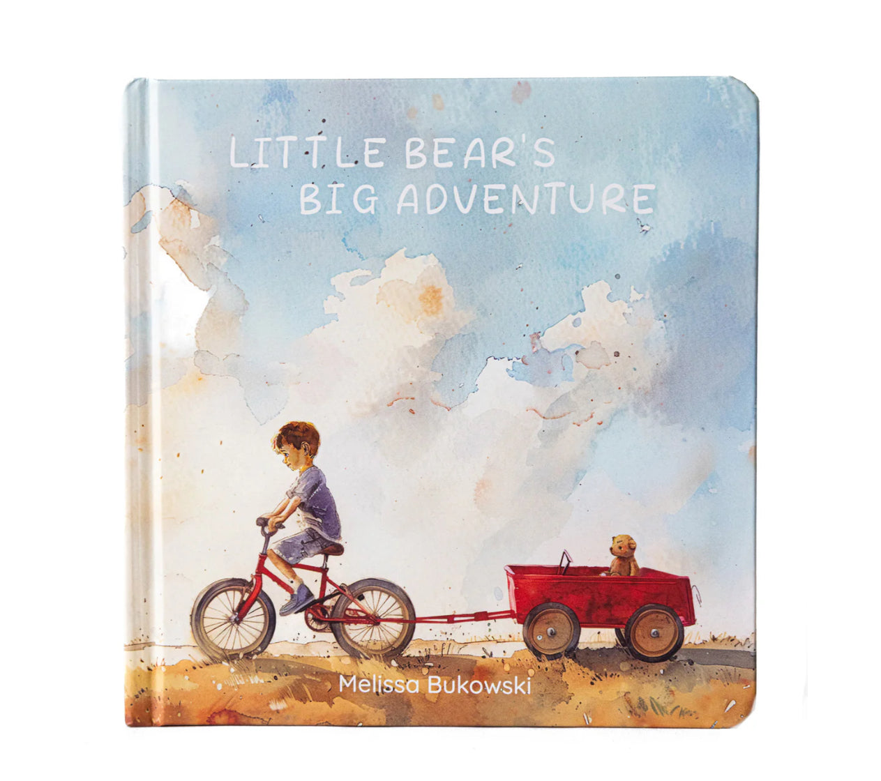 Little Bear's Big Adventure Board Book