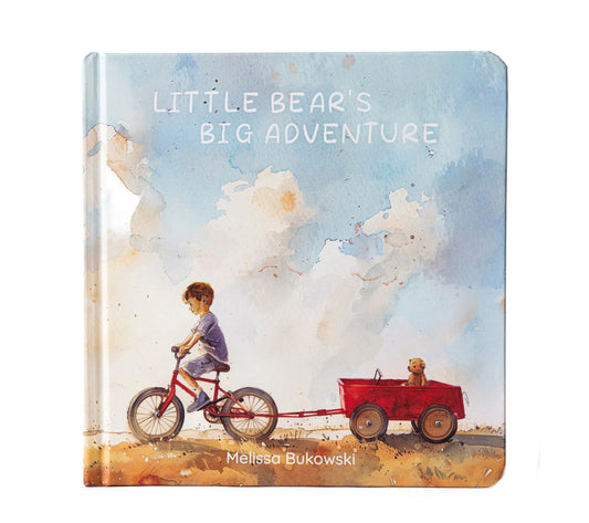 Little Bear's Big Adventure Board Book