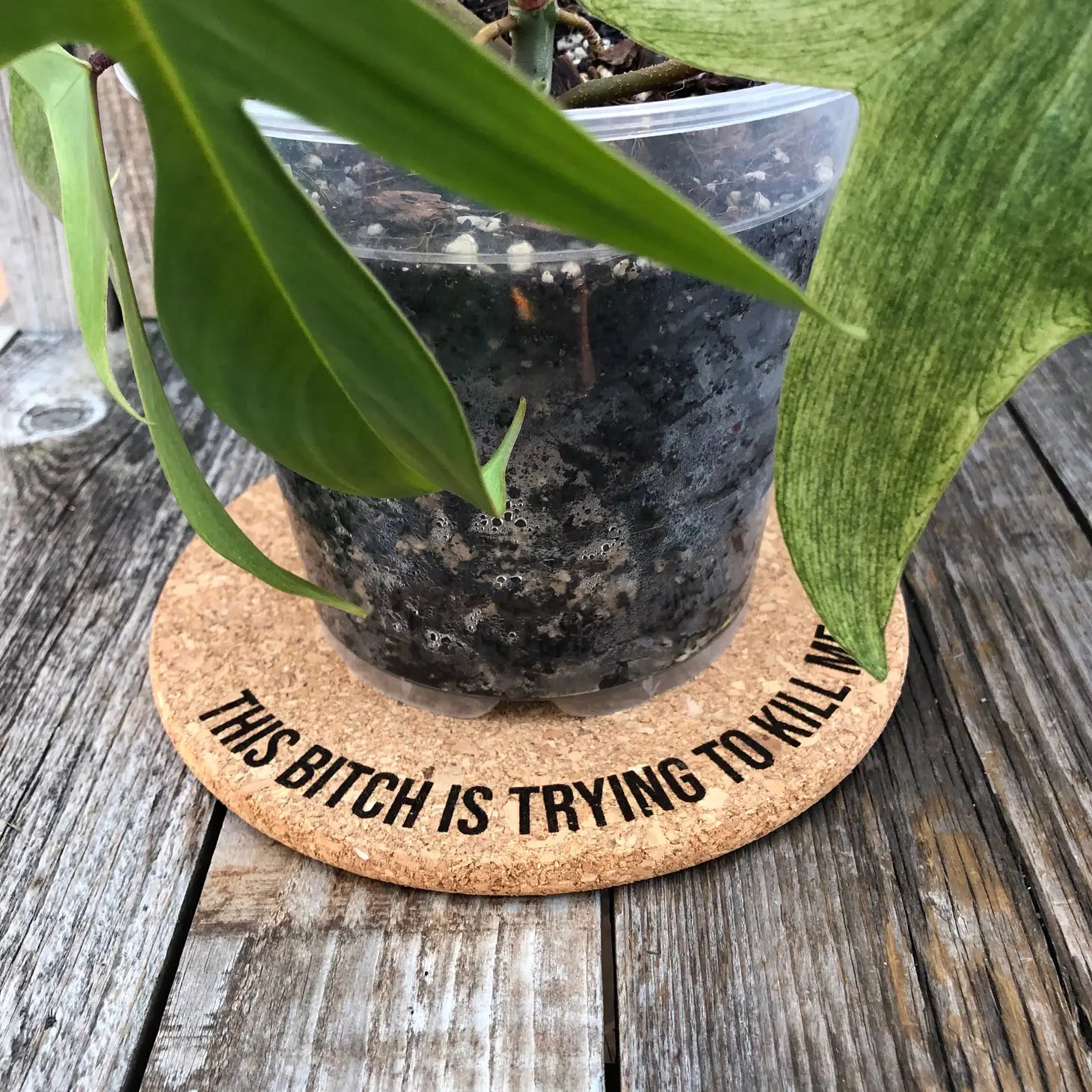 Bitch Better Have My Water- Cork Plant Mat