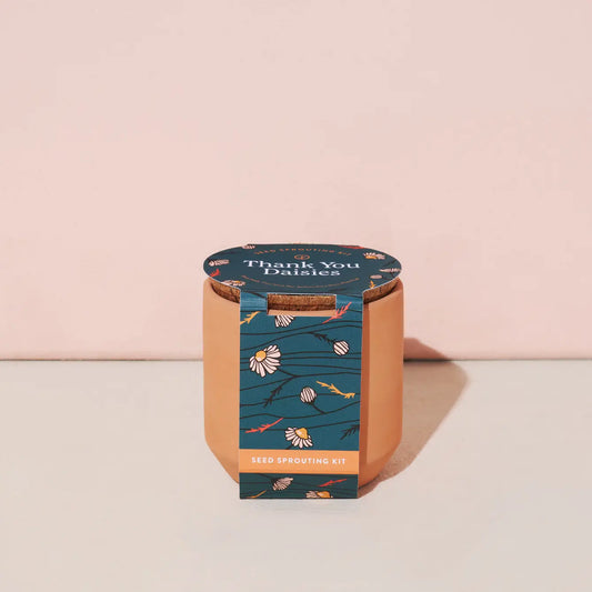 Tiny Terracotta Sprouting Kit | Thank You Daisies