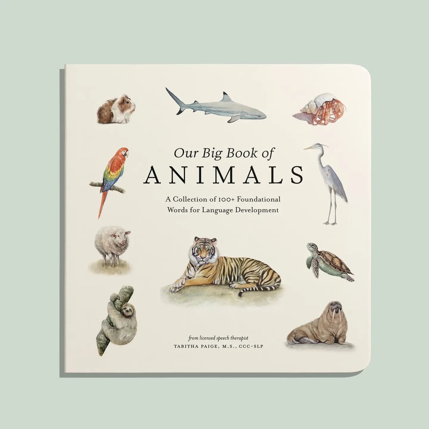 Our Big Book of Animals (Board Book)