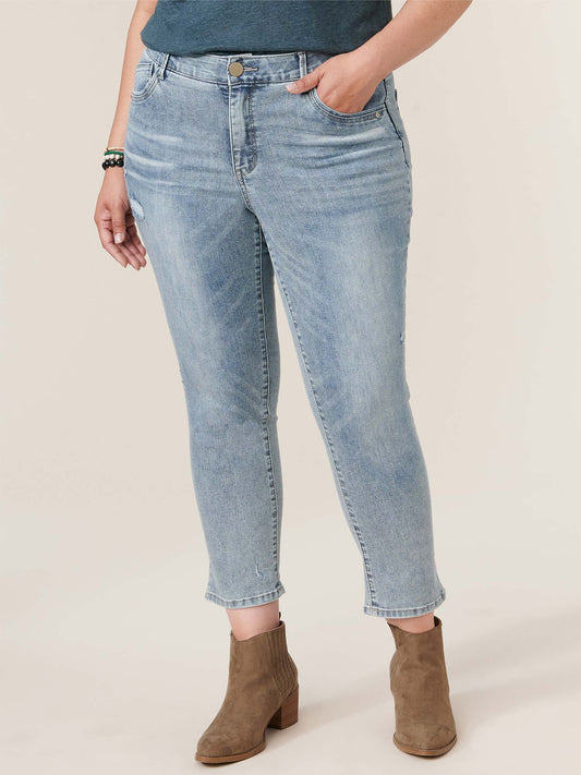 Ab"solution® Plus High Rise Vintage Skinny Jeans | Democracy Jeans