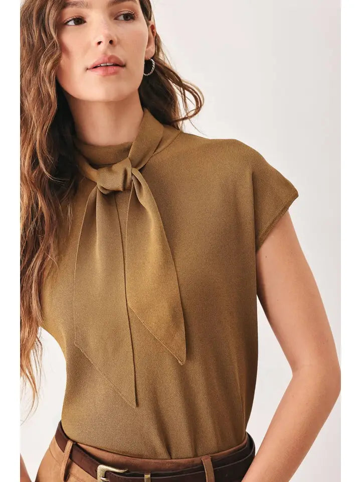Sabrina Neck Tie Sweater