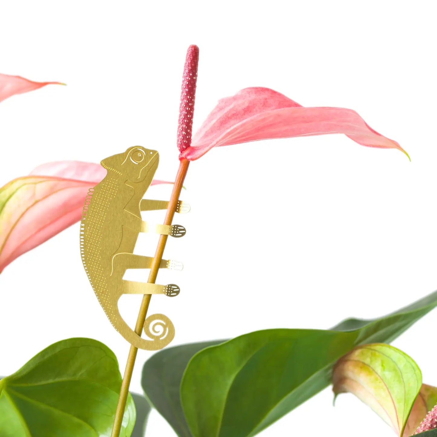 Plant Animals- Plant pot & terrarium decor