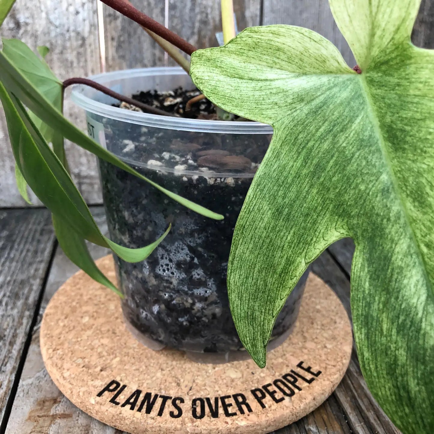 Plants Over People - Cork Plant Mat