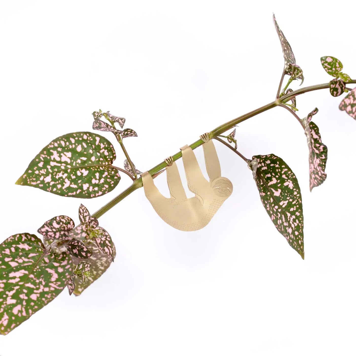 Plant Animals- Plant pot & terrarium decor