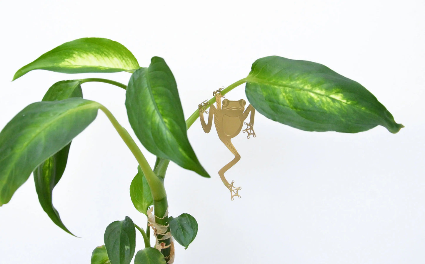 Plant Animals- Plant pot & terrarium decor