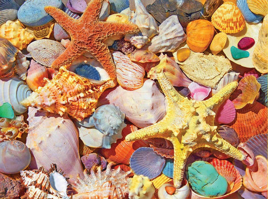Beach Shells- 500 Piece Jigsaw Puzzles