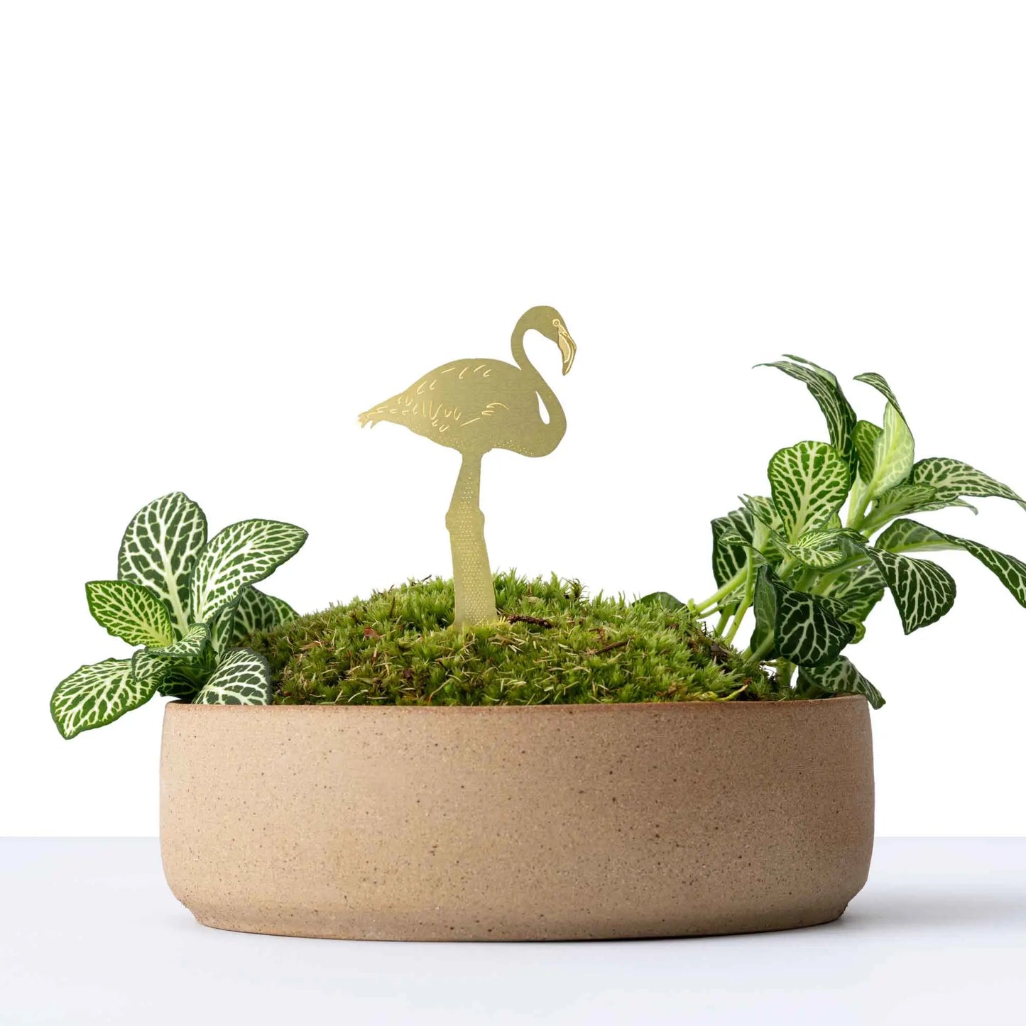 Plant Animals- Plant pot & terrarium decor